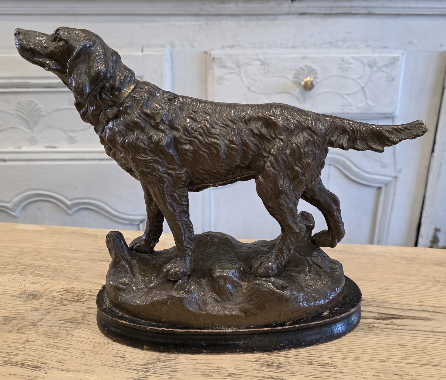 A French Spelter Setter Dog